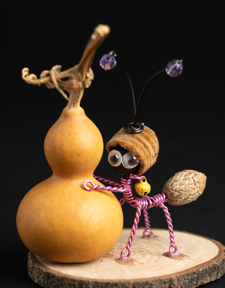 擁抱葫蘆蟻-圖1